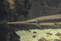 Tierpark + Fossilium Bochum
