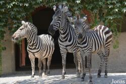 Giardino Zoologico di Pistoia