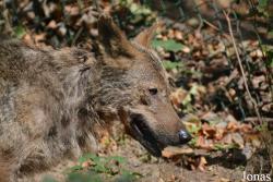 Zoo Jihlava