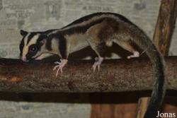 Zoo Jihlava