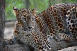 Zoo Brno