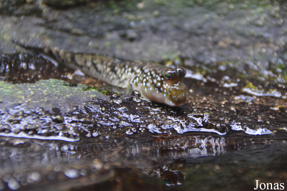 Zoo Brno