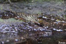 Zoo Brno