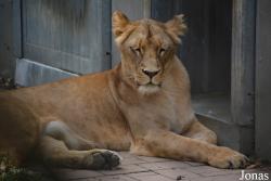 Zoo Brno