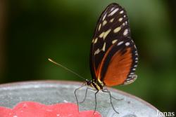 Klein Costa Rica