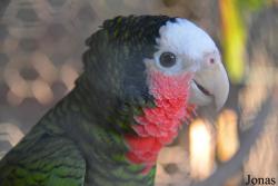 Estación de Reproduccion de Fauna