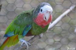 Estación de Reproduccion de Fauna