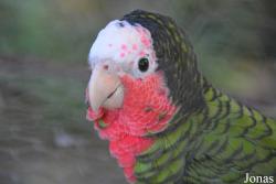 Estación de Reproduccion de Fauna