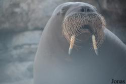 Indianapolis Zoo