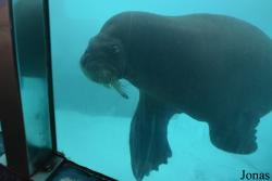 Indianapolis Zoo