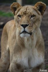 Indianapolis Zoo