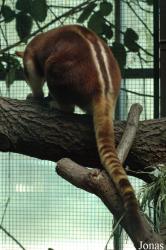 Vogelpark Walsrode