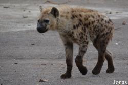 Parque Zoológico Nacional de Cuba
