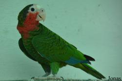 Parque Zoológico Nacional de Cuba
