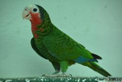 Parque Zoológico Nacional de Cuba
