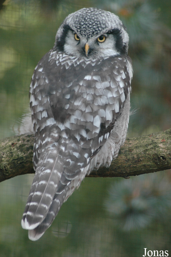 Vogelpark Walsrode