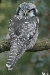 Vogelpark Walsrode