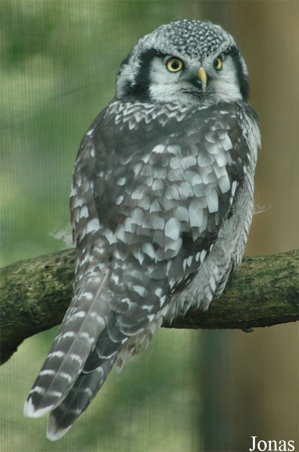 Vogelpark Walsrode