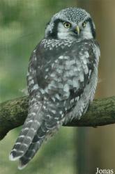 Vogelpark Walsrode