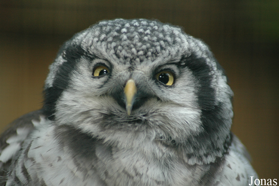 Vogelpark Walsrode