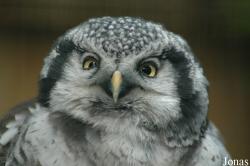 Vogelpark Walsrode