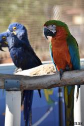 Marineland Mallorca