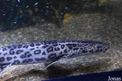 Palma Aquarium
