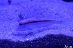Palma Aquarium