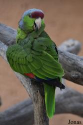 Safari-Zoo Mallorca