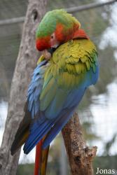 Safari-Zoo Mallorca