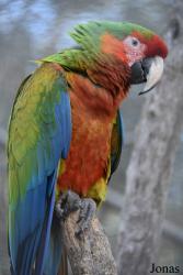 Safari-Zoo Mallorca