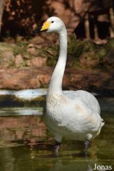 Natura Parc Santa Eugènia