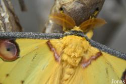 Mariposario de Benalmádena