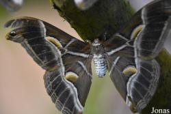 Mariposario de Benalmádena