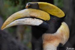 Bioparc Fuengirola