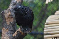 Alameda Wildlife Conservation Park