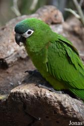 Zoo de Castellar