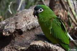 Zoo de Castellar