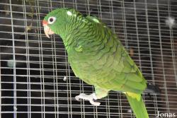 Zoobotánico Jerez