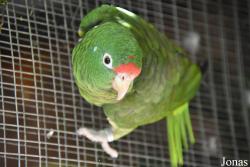 Zoobotánico Jerez