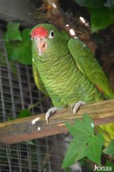 Zoobotánico Jerez