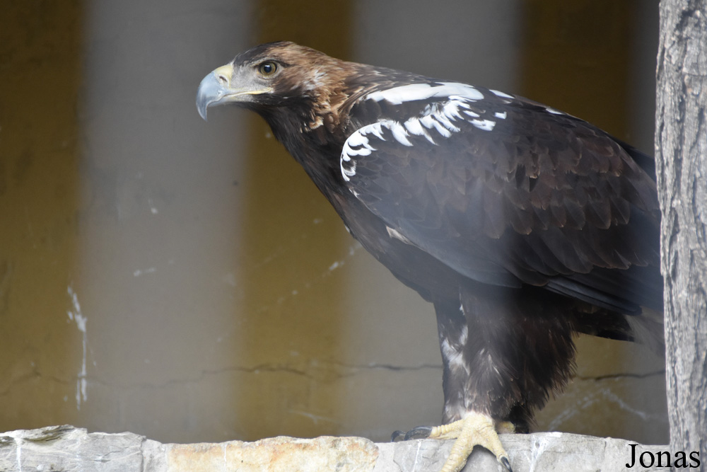 Zoobotánico Jerez