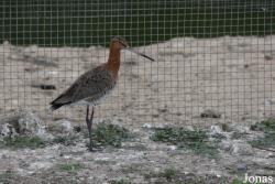 Cañada de los Pájaros