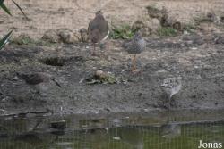 Cañada de los Pájaros