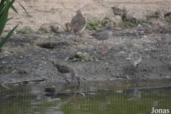 Cañada de los Pájaros
