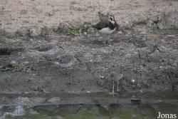Cañada de los Pájaros