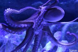 Acuario de Sevilla