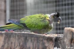 Zoo Córdoba