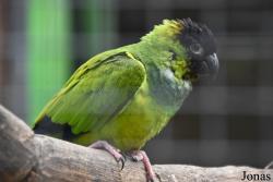 Zoo Córdoba