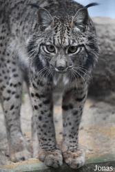 Zoo Córdoba
